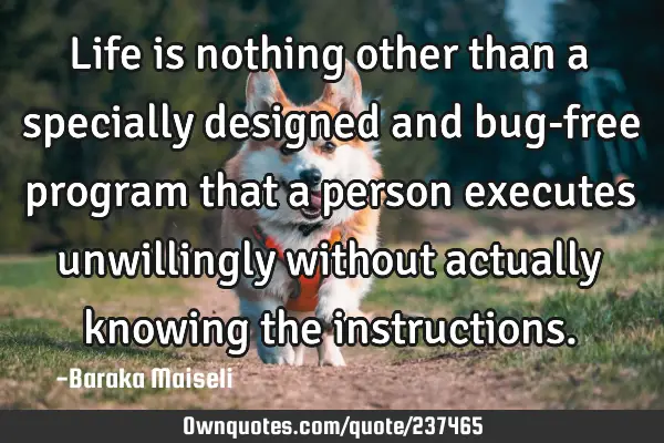 Life is nothing other than a specially designed and bug-free program that a person executes