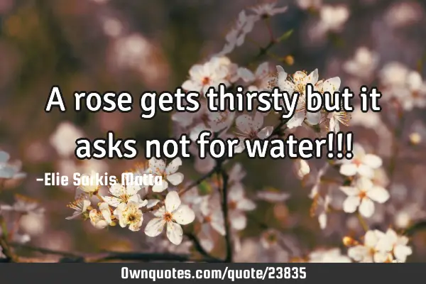 A rose gets thirsty but it asks not for water!!!