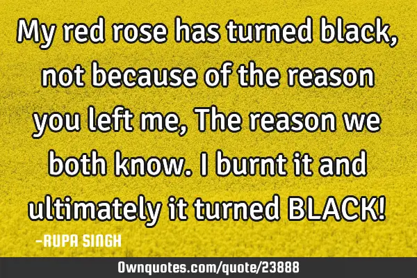 My red rose has turned black, not because of the reason you left me,The reason we both know. I