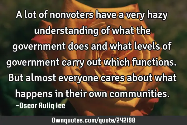 A lot of nonvoters have a very hazy understanding of what the government does and what levels of