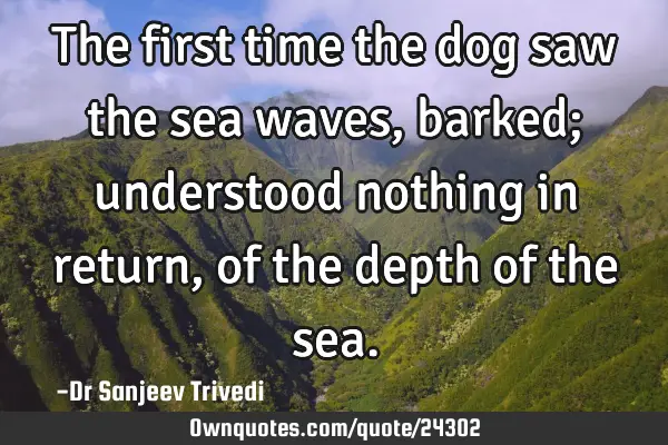 The first time the dog saw the sea waves, barked; understood nothing in return, of the depth of the