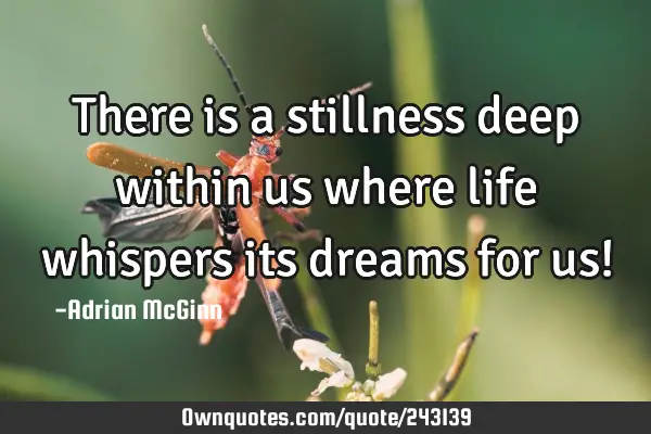 There is a stillness deep within us where life whispers its dreams for us!