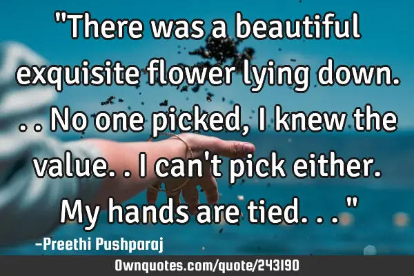 "There was a beautiful exquisite flower lying down... No one picked, I knew the value..i can