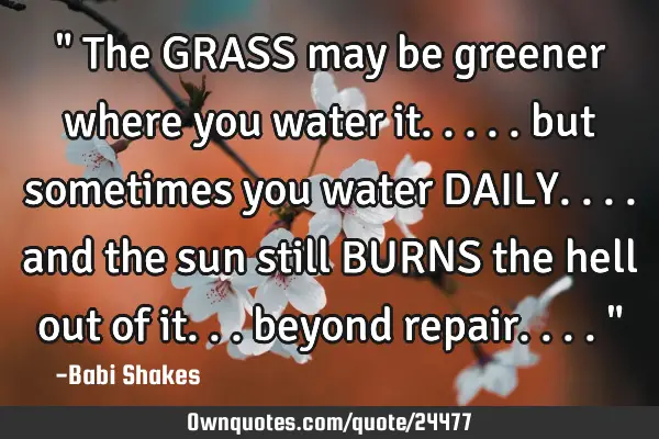 " The GRASS may be greener where you water it..... but sometimes you water DAILY.... and the sun