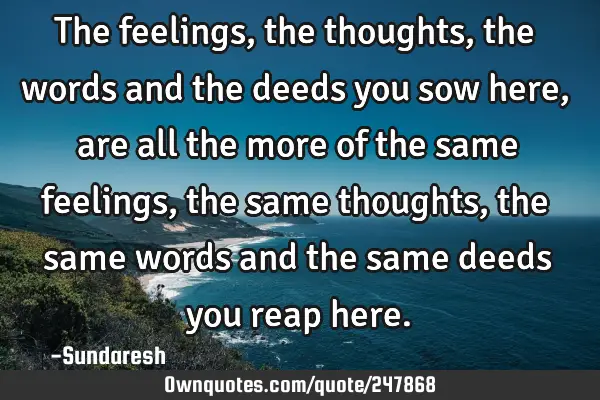 The feelings, the thoughts, the words and the deeds you sow here, are all the more of the same