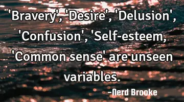 'Bravery', 'Desire', 'Delusion', 'Confusion', 'Self-esteem, 'Common sense' are unseen variables.