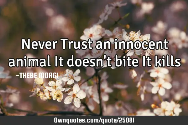 Never Trust an innocent animal It doesn