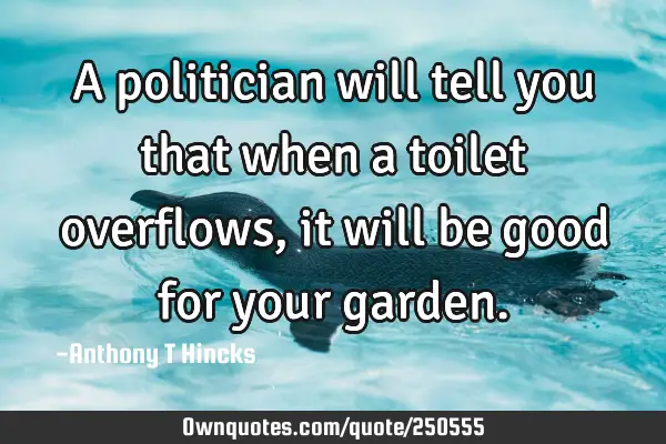 A politician will tell you that when a toilet overflows, it will be good for your