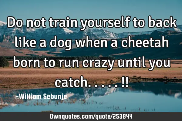 Do not train yourself to back like a dog when a cheetah born to run crazy until you catch.....!!