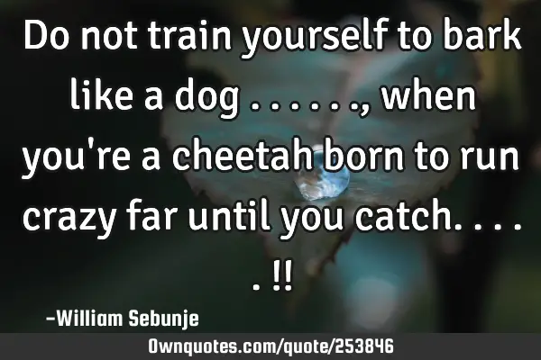 Do not train yourself to bark like a dog ......,when you