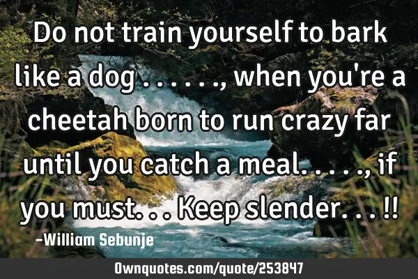 Do not train yourself to bark like a dog ......,when you