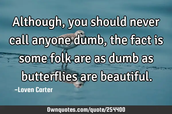 Although, you should never call anyone dumb, the fact is some folk are as dumb as butterflies are