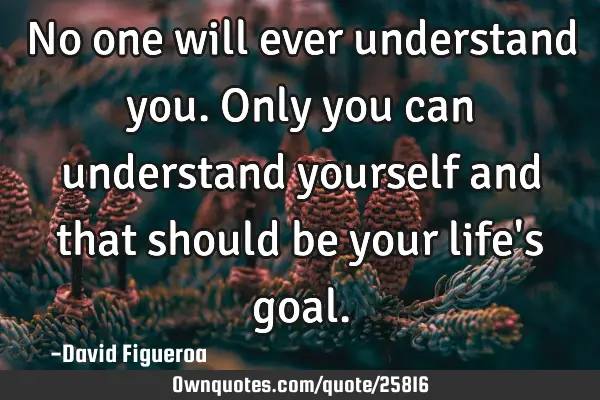 No one will ever understand you. Only you can understand yourself and that should be your life
