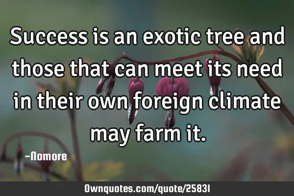 Success is an exotic tree and those that can meet its need in their own foreign climate may farm