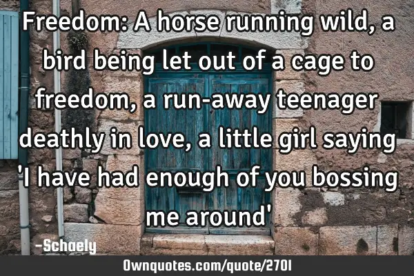 Freedom: A horse running wild, a bird being let out of a cage to freedom , a run-away teenager