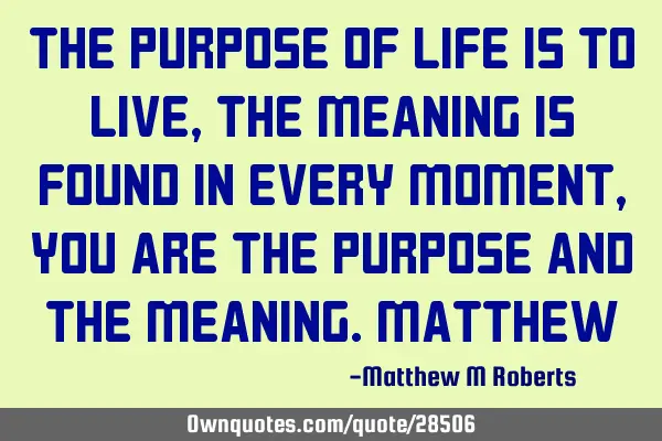 The purpose of life is to live,the meaning is found in every moment,you are the purpose and the