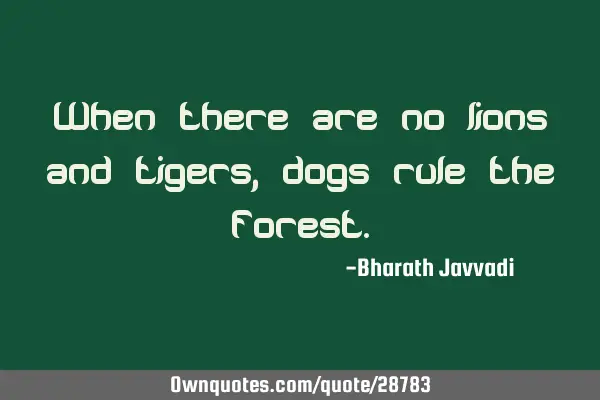 When there are no lions and tigers, dogs rule the