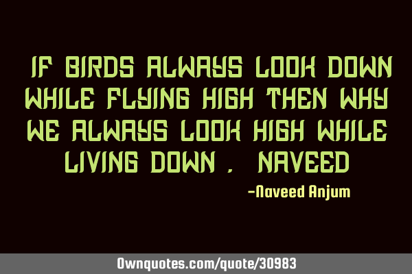 "If birds always look down while flying high then why we always look high while living down".