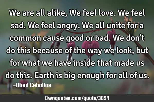 We are all alike, We feel love. We feel sad. We feel angry. We all unite for a common cause good or