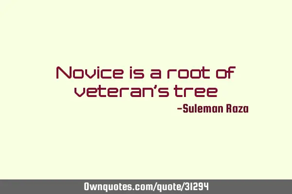 Novice is a root of veteran