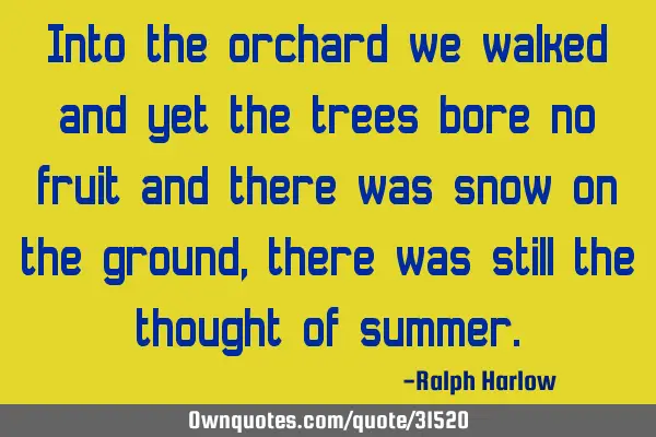 Into the orchard we walked and yet the trees bore no fruit and there was snow on the ground, there