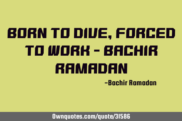 Born to dive, forced to work - Bachir R