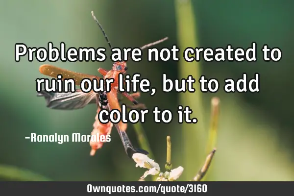 Problems are not created to ruin our life , but to add color to