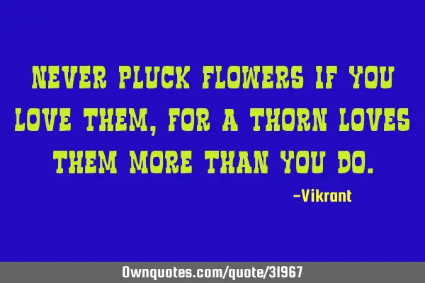 Never pluck flowers if you love them, for a thorn loves them more than you