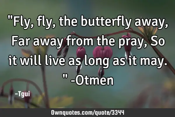 "Fly, fly, the butterfly away, Far away from the pray, So it will live as long as it may." -O
