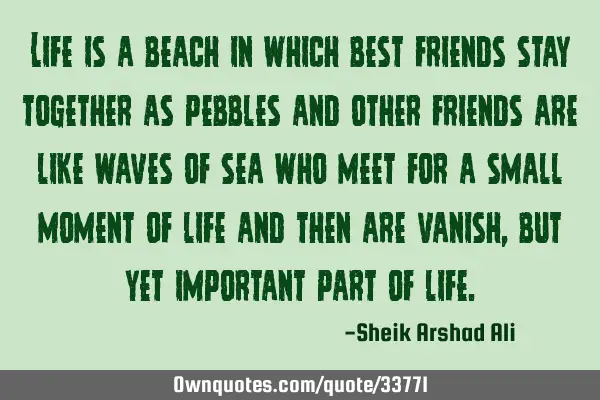 Life is a beach in which best friends stay together as pebbles and other friends are like waves of