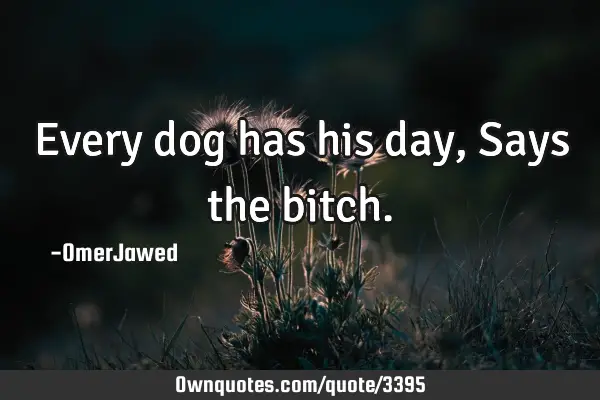 Every dog has his day, Says the