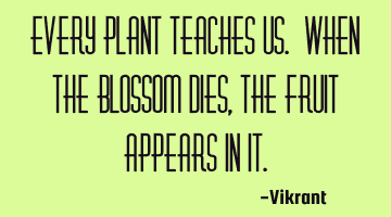 Every plant teaches us. When the blossom dies, the fruit appears in it.