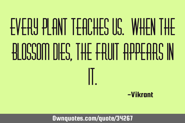 Every plant teaches us. When the blossom dies, the fruit appears in