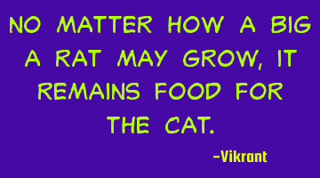 No matter how a big a rat may grow, it remains food for the cat.