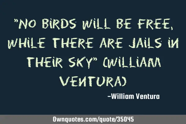 "No birds will be free,while there are jails in their sky" (William Ventura)