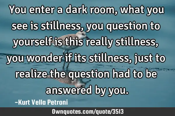 You enter a dark room, what you see is stillness, you question to yourself is this really stillness,