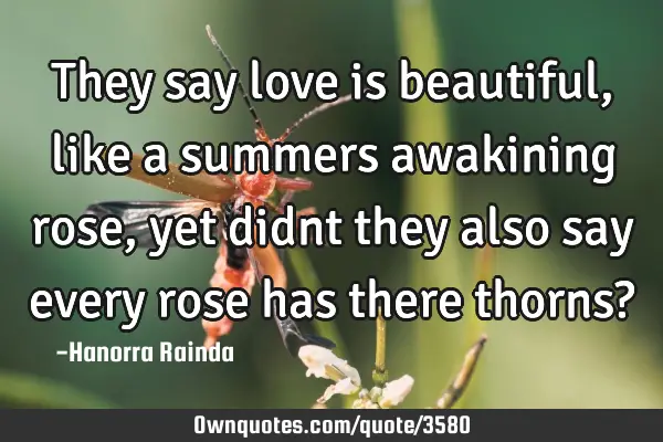 They say love is beautiful, like a summers awakining rose, yet didnt they also say every rose has