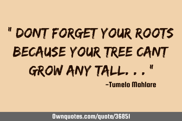 " Dont forget your roots because your tree cant grow any tall..."