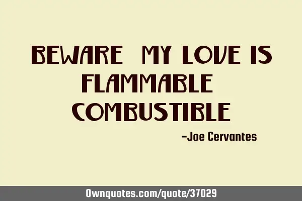 Beware! My Love is Flammable & C