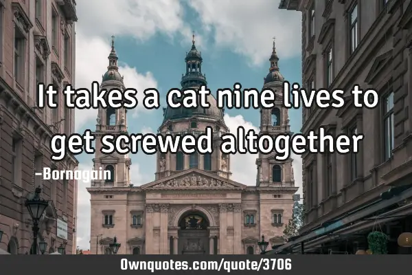 It takes a cat nine lives to get screwed