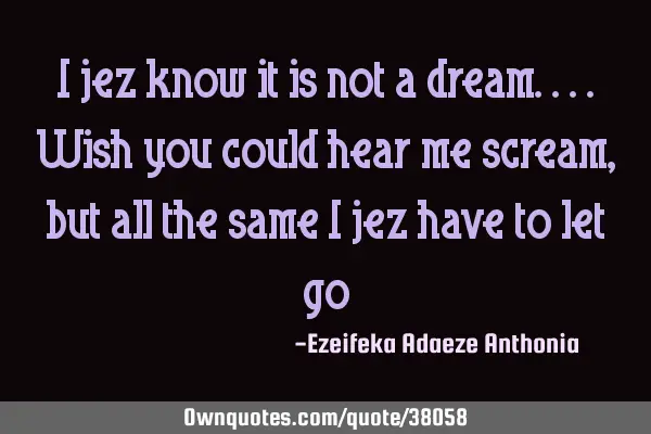 I jez know it is not a dream....wish you could hear me scream, but all the same i jez have to let