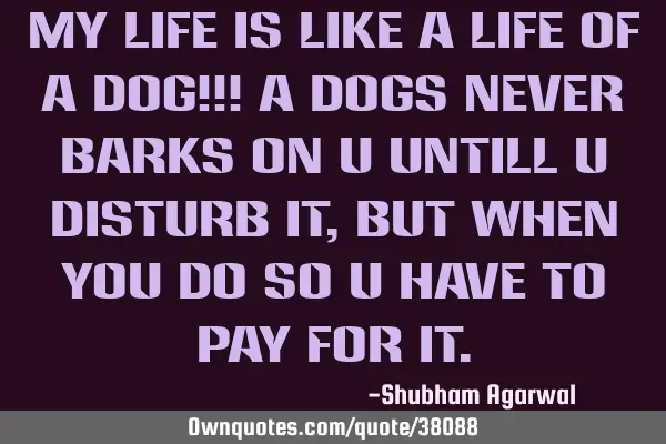 My life is like a life of a dog!!! A dogs never barks on u untill u disturb it,but when you do so u