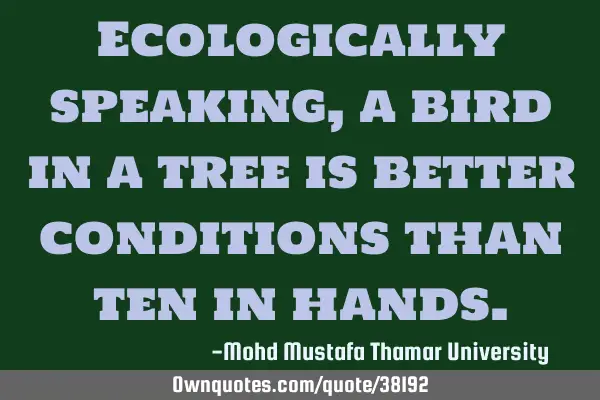 Ecologically speaking , a bird in a tree is better conditions than ten in