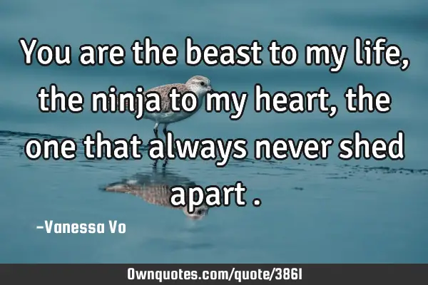 You are the beast to my life, the ninja to my heart, the one that always never shed apart