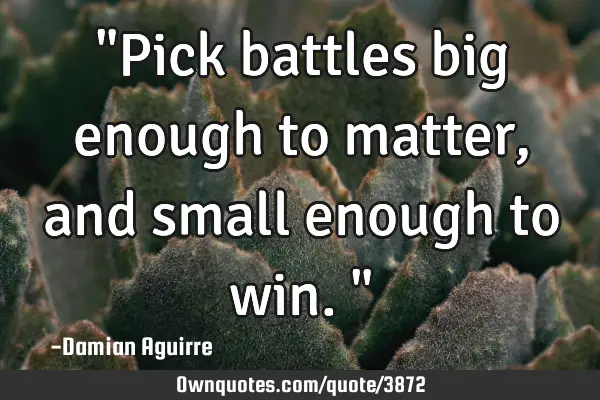 "Pick battles big enough to matter, and small enough to win."