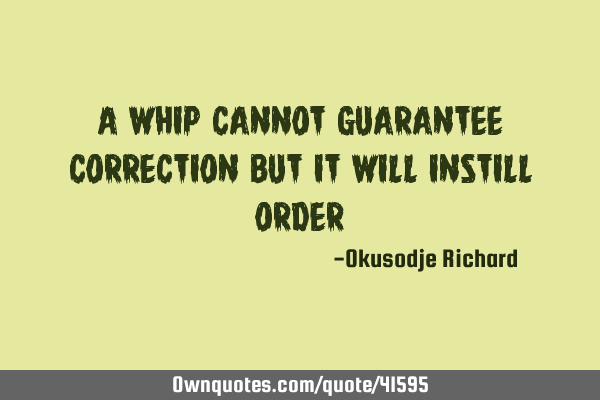 A whip cannot guarantee correction but it will instill