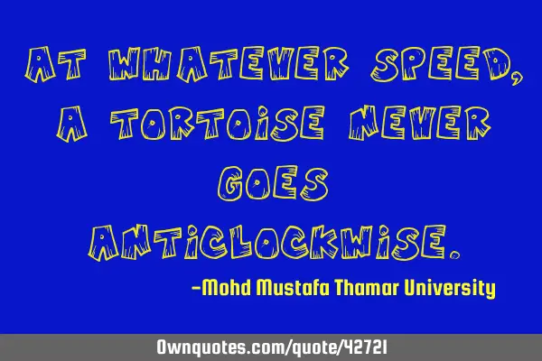 At whatever speed , a tortoise never goes