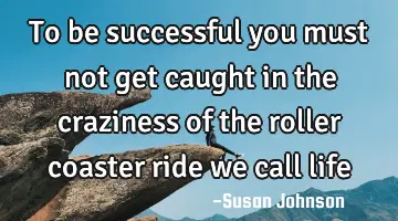 to be successful you must not get caught in the craziness of the roller coaster ride we call
