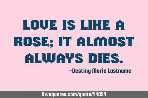 Love is like a rose; it almost always