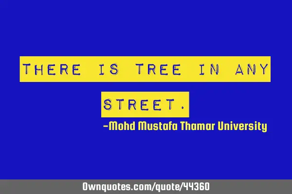 There is tree in any sTREE